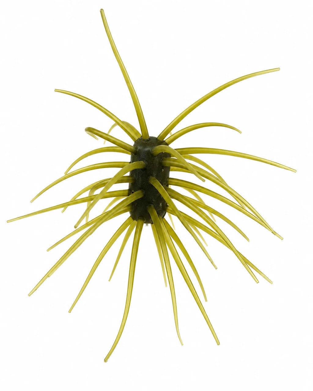 Duckett Ashi Urchin-Style Bait - 33mm x 15mm