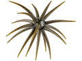Berkley PowerBait MaxScent Moeba 3.5